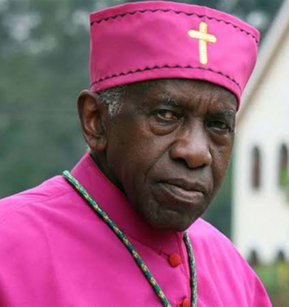 Archbishop Ndingi Mwana a'Nzeki