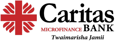 Caritas Microfinance Bank